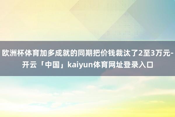 欧洲杯体育加多成就的同期把价钱裁汰了2至3万元-开云「中国」kaiyun体育网址登录入口