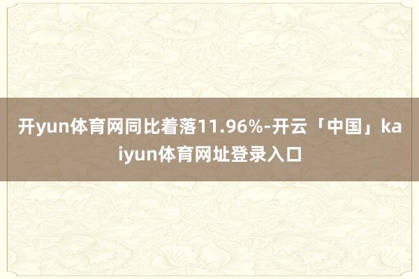 开yun体育网同比着落11.96%-开云「中国」kaiyun体育网址登录入口