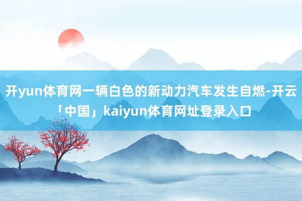 开yun体育网一辆白色的新动力汽车发生自燃-开云「中国」kaiyun体育网址登录入口